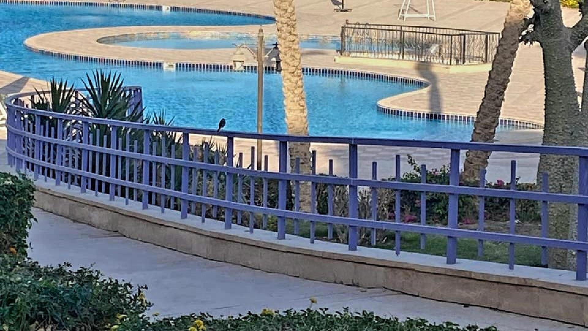 شاليه بحري للبيع ارضي بجاردن في البانوراما بورتو السخنه 